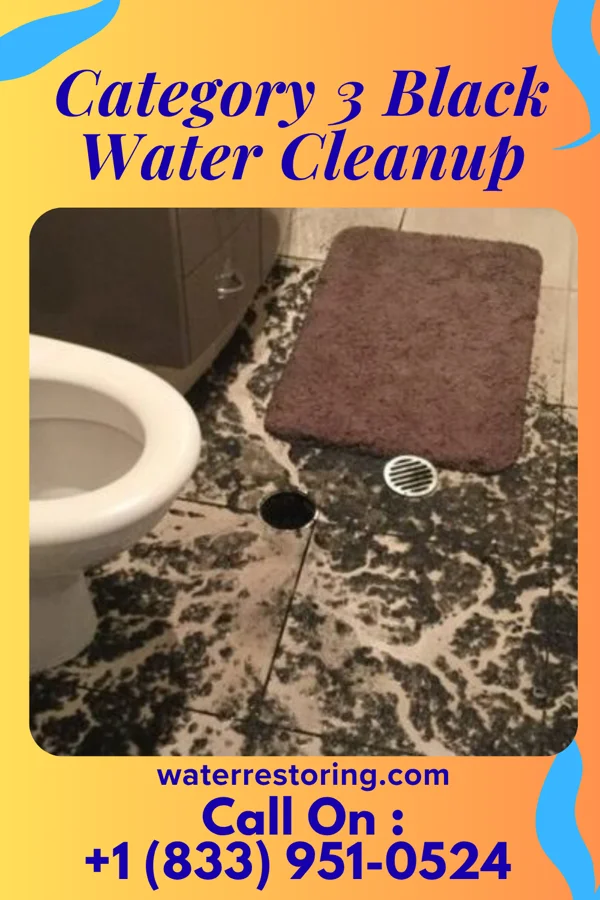Category 3 Black Water Cleanup in Avilla, MO