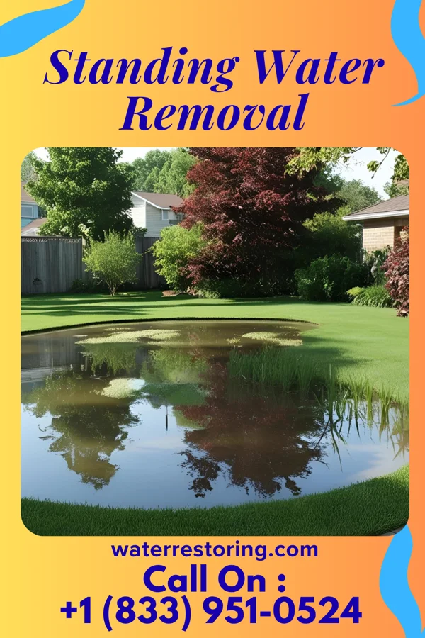 Standing Water Removal in Avilla, MO